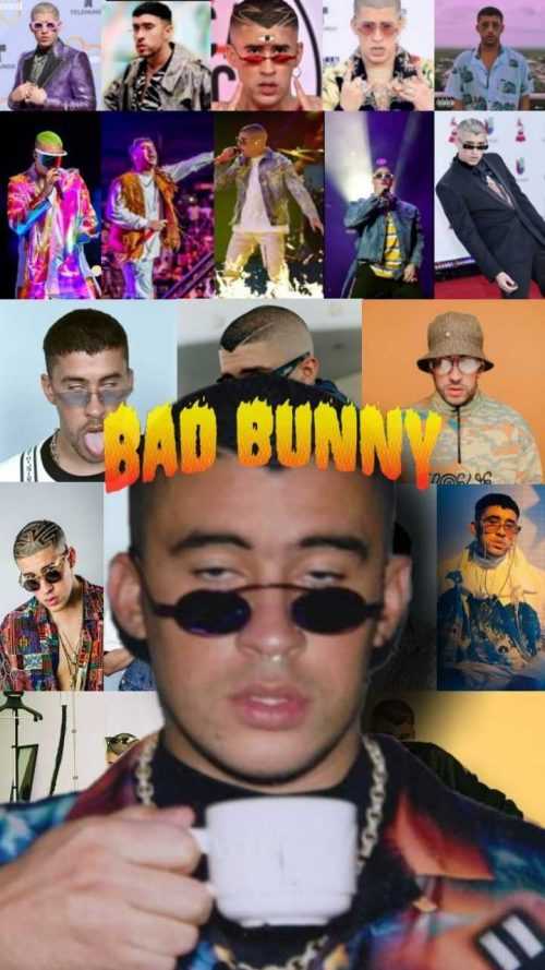 K Bad Bunny Wallpaper Whatspaper