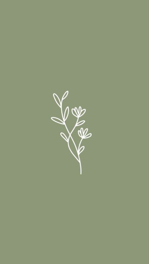 K Sage Green Aesthetic Wallpaper Whatspaper