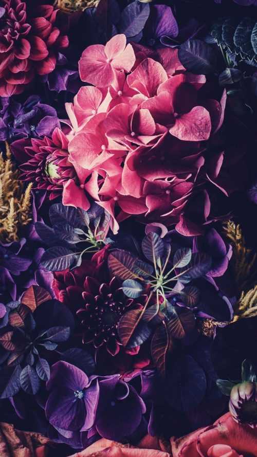 Flowers Wallpaper | WhatsPaper