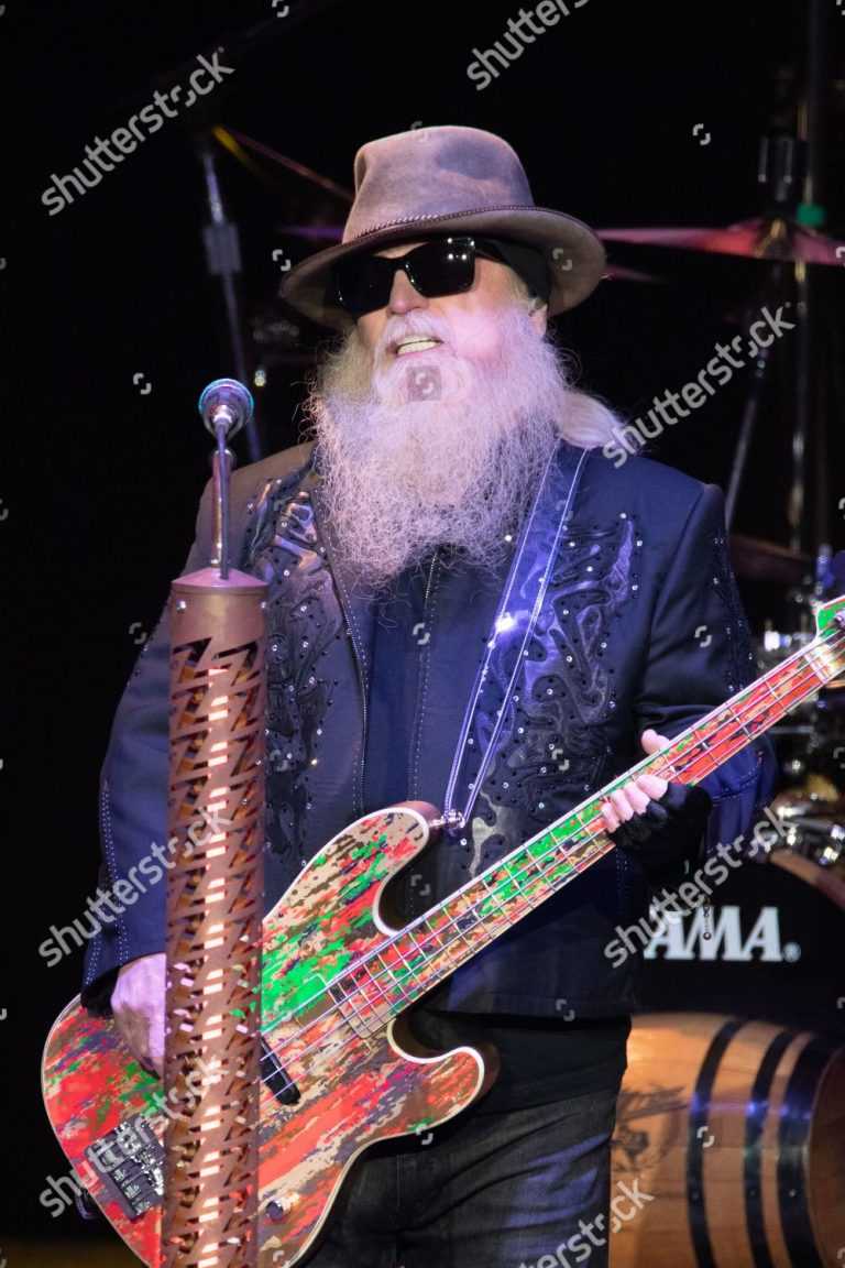 Dusty Hill Wallpaper | WhatsPaper