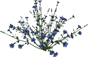 Desktop Flowers Png Wallpaper 