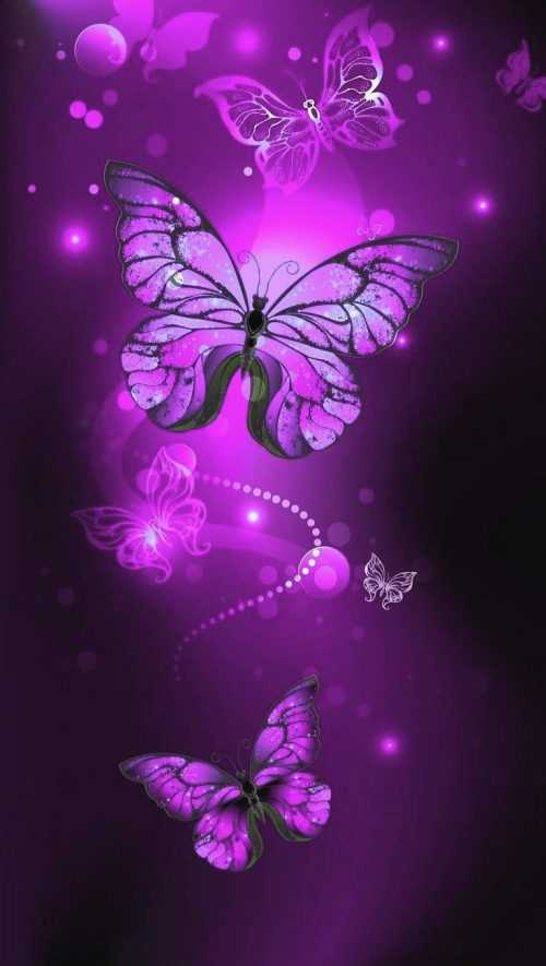 Butterfly Wallpaper | WhatsPaper