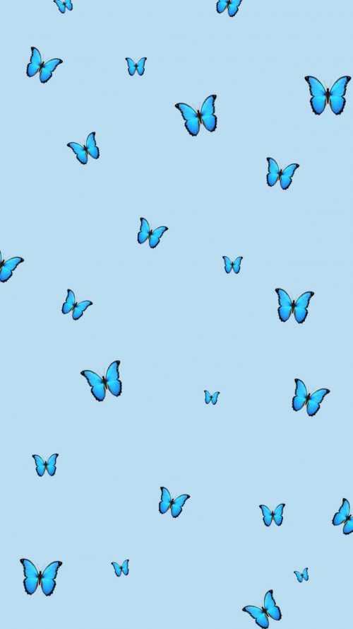 HD Butterflies Wallpaper | WhatsPaper