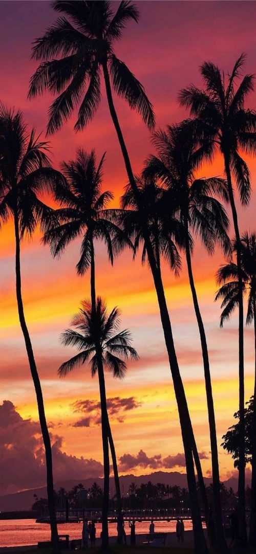 Hawaii Background | WhatsPaper