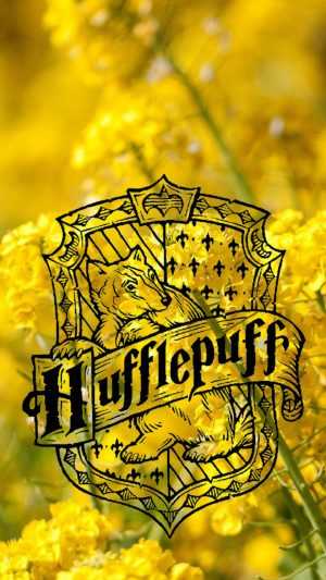 4K Hufflepuff Wallpaper 