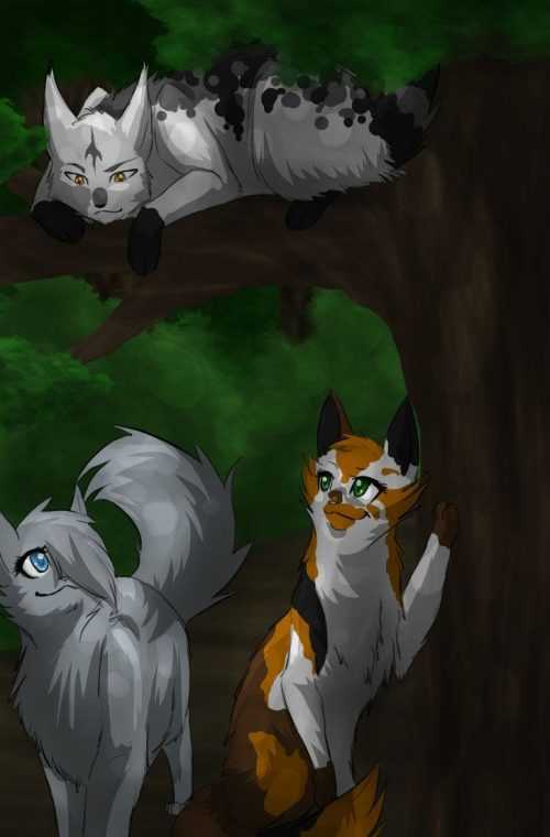 Warrior Cats Wallpaper | WhatsPaper