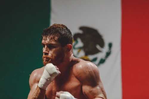 Desktop Canelo Álvarez Wallpaper | WhatsPaper