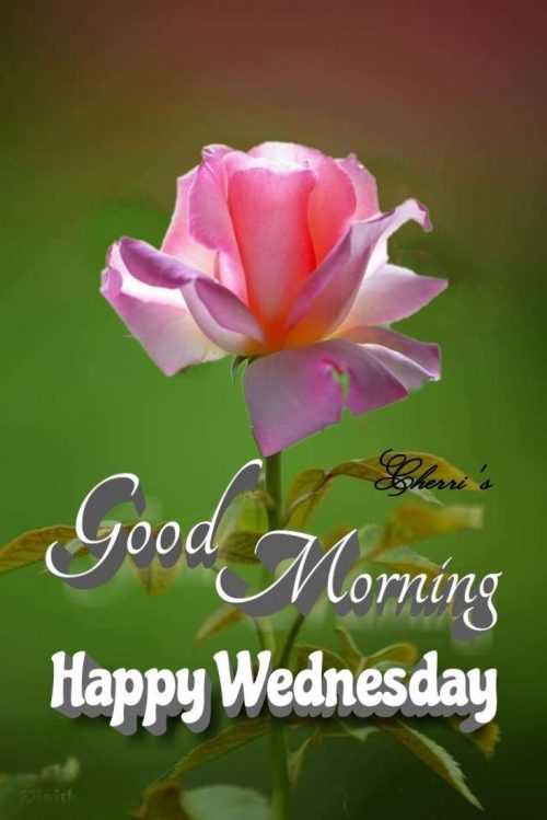 Happy Wednesday Background | WhatsPaper