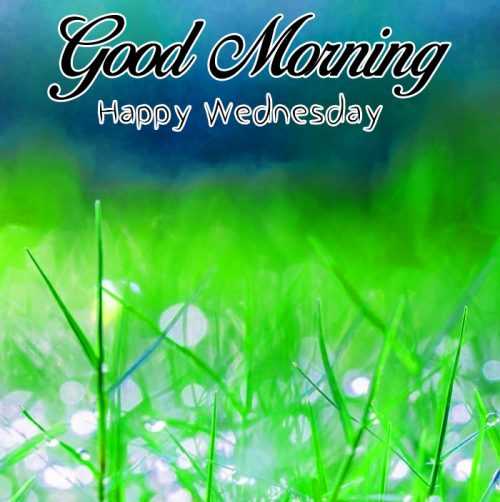 HD Happy Wednesday Wallpaper | WhatsPaper