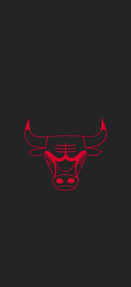 Bulls Wallpaper | WhatsPaper