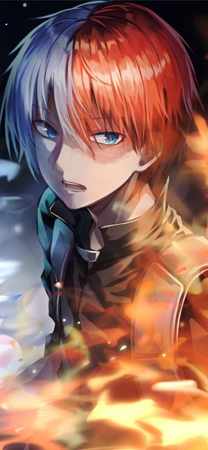 HD Shoto Todoroki Wallpaper