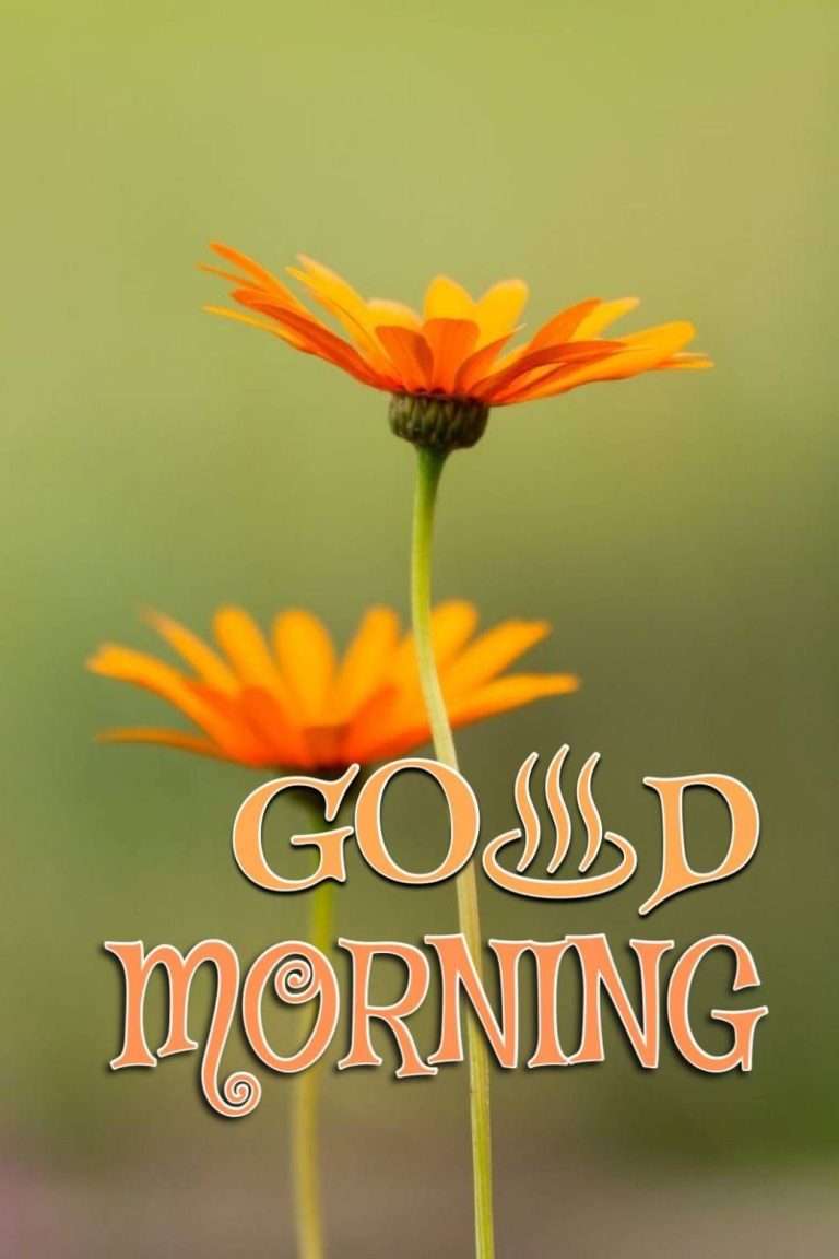 Good Morning Wallpaper | WhatsPaper