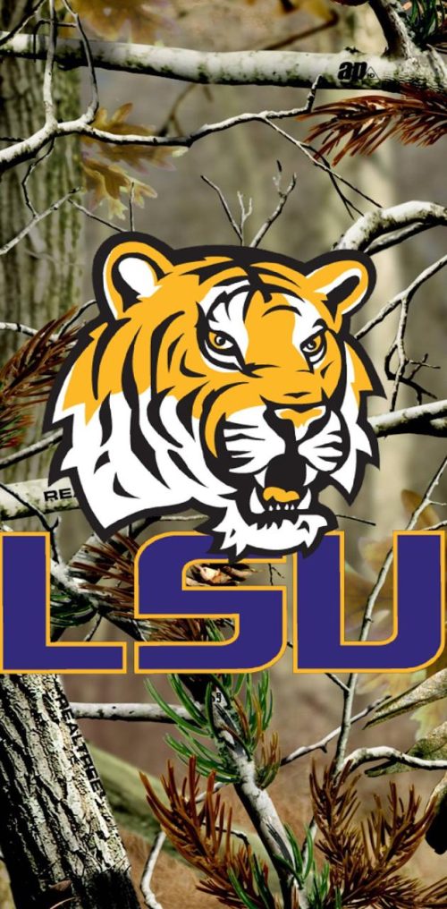 4K LSU Wallpaper | WhatsPaper