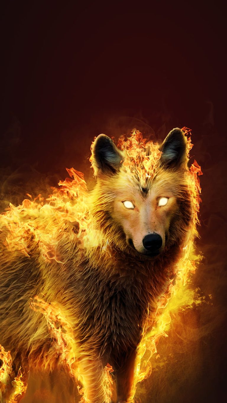 Wolf Wallpaper | WhatsPaper