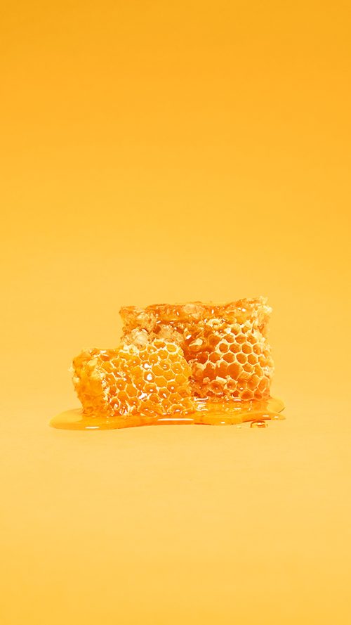 4K Honey Wallpaper | WhatsPaper