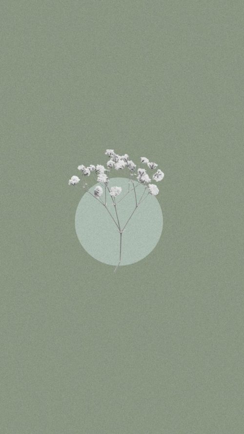 Sage Green Aesthetic Background | WhatsPaper