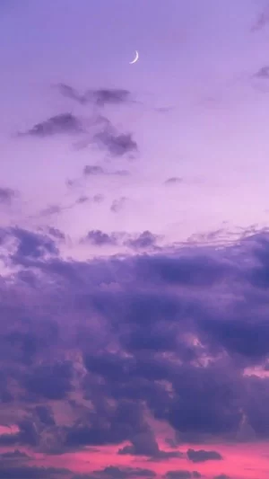 Lavender Wallpaper | WhatsPaper