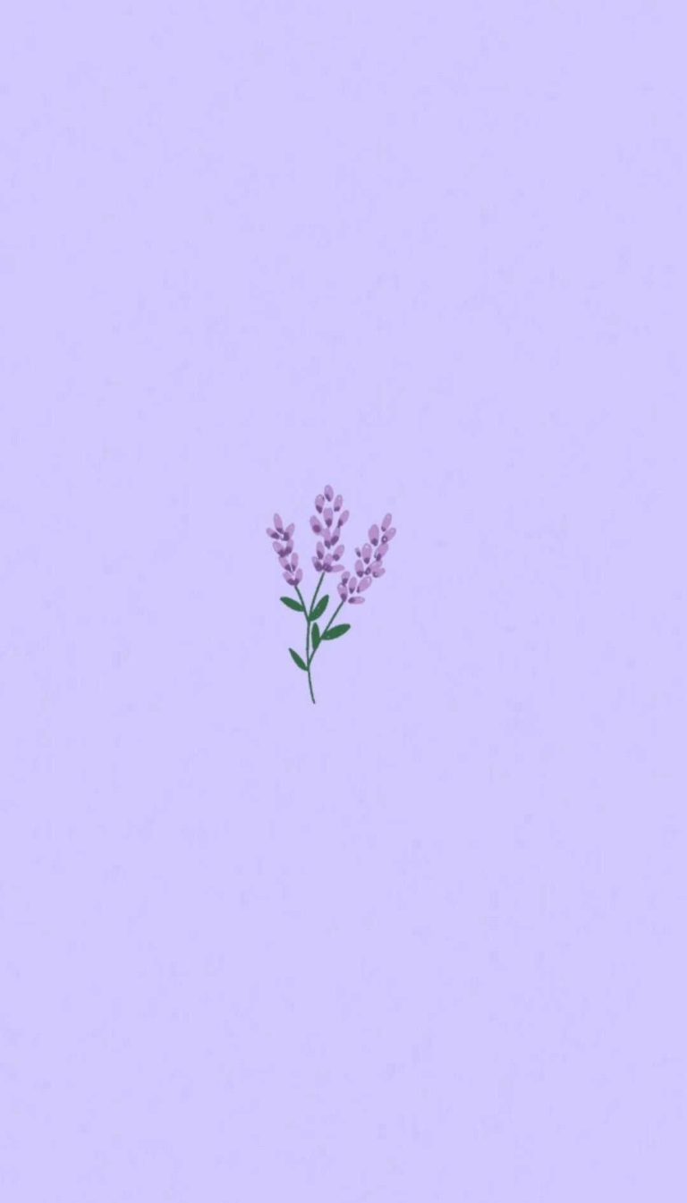 4K Lavender Wallpaper | WhatsPaper