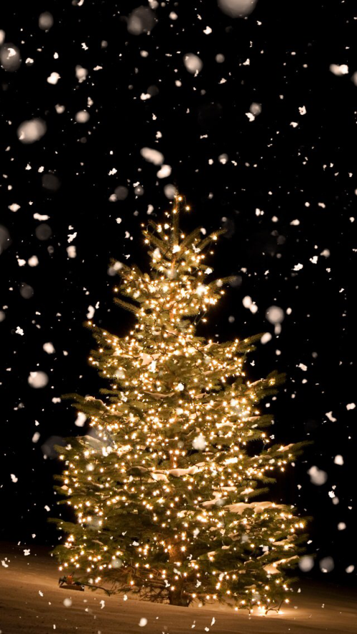 Christmas Tree Wallpaper Whatspaper 2373