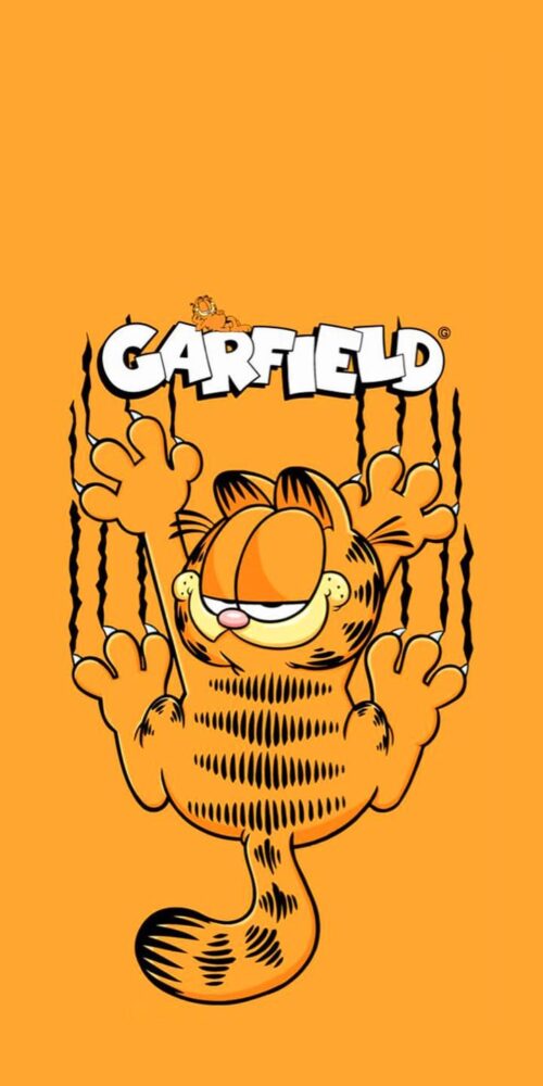Garfield Background | WhatsPaper