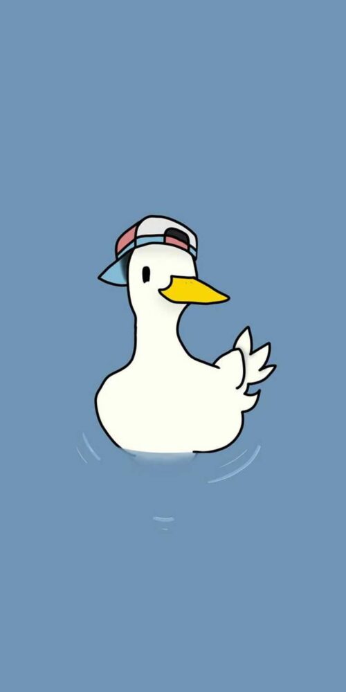 Duck Wallpaper | WhatsPaper