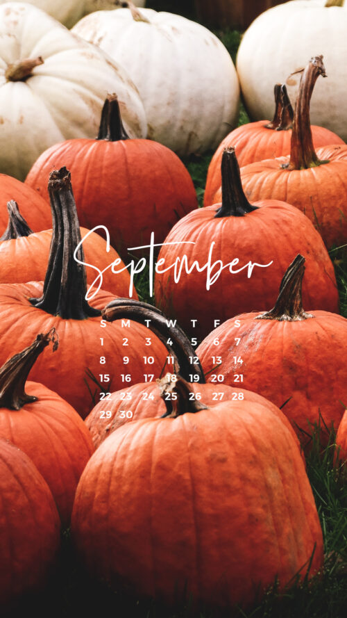 4K September Wallpaper | WhatsPaper