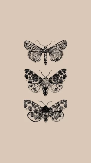 Butterfly Background