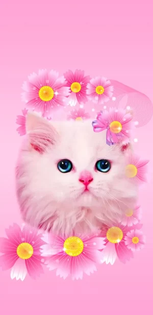 Cat Wallpaper | WhatsPaper