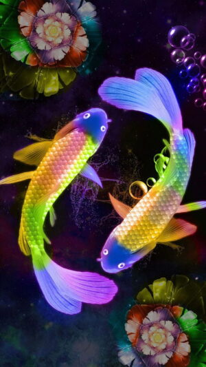 Fish Background