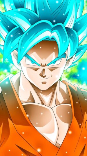 Son Goku Wallpaper