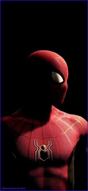 Spider-Man Background 