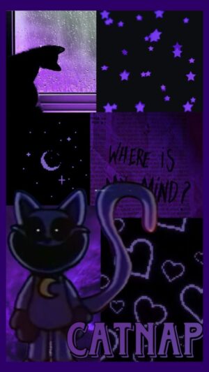 CatNap Background