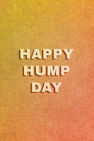 HD Hump Day Wallpaper