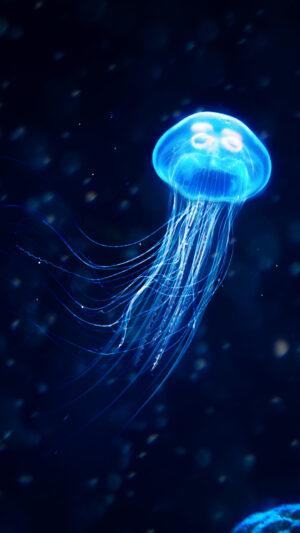 4K Jellyfish Wallpaper