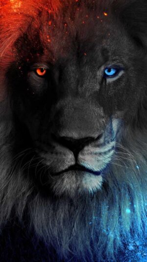 Lion Background