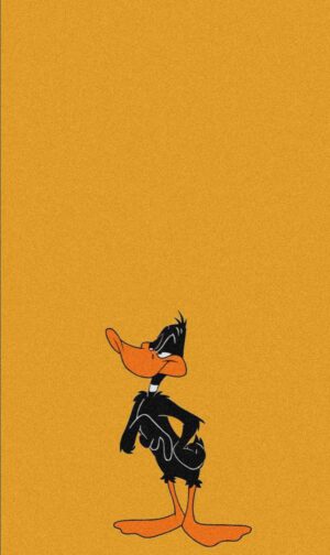 Daffy Duck Wallpaper 