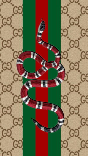 Gucci Background