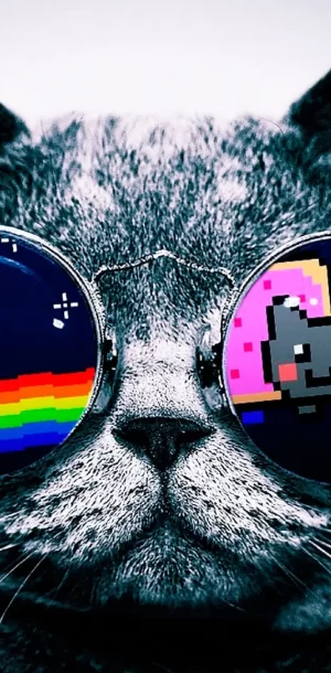 Nyan Cat Background 