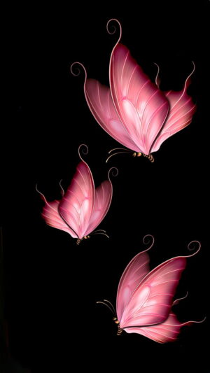 Butterfly Wallpaper