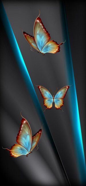 Butterfly Wallpaper