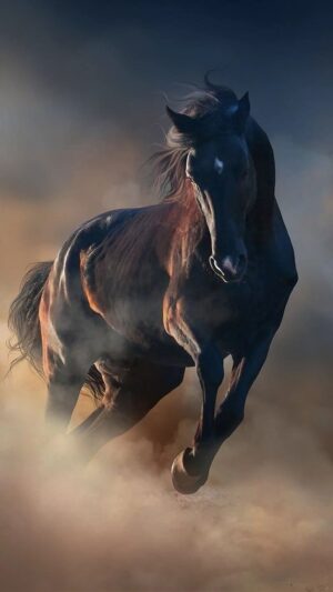 Horse Wallpaper