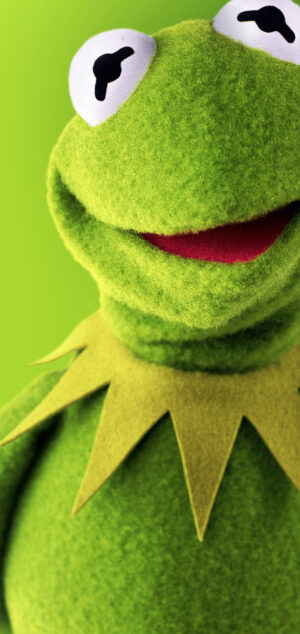 HD Kermit The Frog Wallpaper