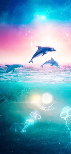 Dolphin Background