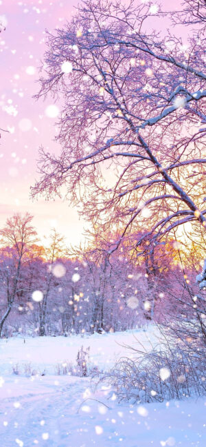 Winter Background