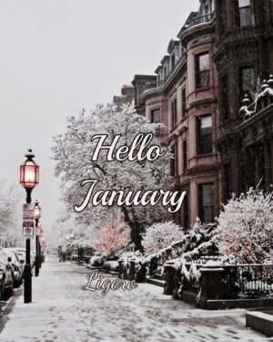 January Background