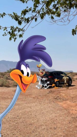 Roadrunner Background