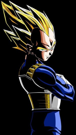 Vegeta Wallpaper