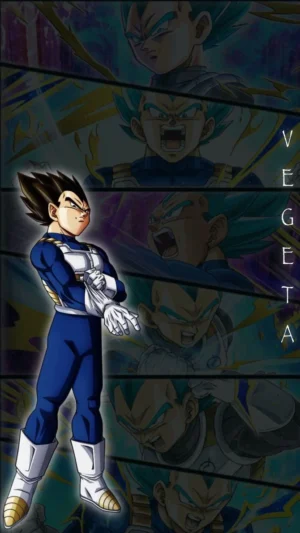 Vegeta Wallpaper