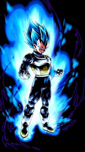 Vegeta Wallpaper