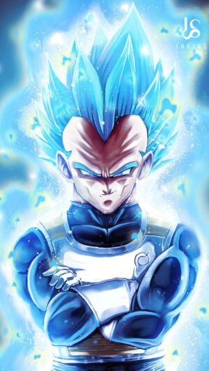 Vegeta Background